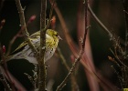DSC 0467 web