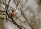 DSC 0479 web